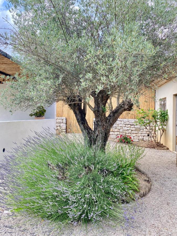 Le Cabanon Valbonne Apartment Exterior photo